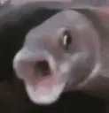 pogfish