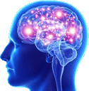 bigBrain