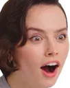 HG_DaisyPog HG_DaisyPog