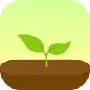 forestapp forestapp
