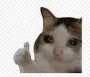 catcrythumbsup