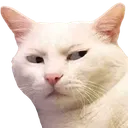 suscat