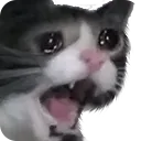 scream_cat_1