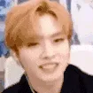 minho_bark minho_bark