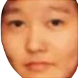 inh_pogo