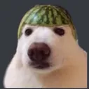 coolerbruh