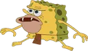 spongelost