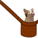 catinbag Discord Emoji