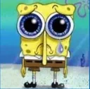 spong spong
