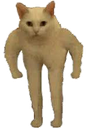 Cat_Meme Discord emoji