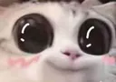 UwU