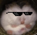 Chonkyboy Discord emoji