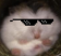 :Chonkyboy:
