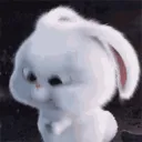 PG_Bhakkk_Bhakk PG_Bhakkk_Bhakk