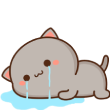 C_nyacry Discord emoji