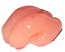 staff Discord emoji
