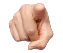 vos