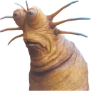 KlaudWhat KlaudWhat