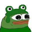 NM_peepoS