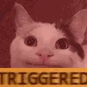 triggered triggered