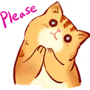CatBeg