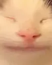 gae