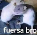 fuerzabro Discord emoji