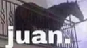 juan juan