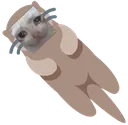seduotter