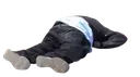 dead2