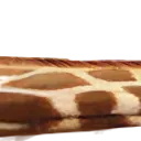 giraffe2