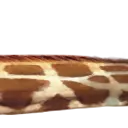 giraffe3