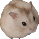 HamBall