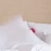 aRoseWakeUp
