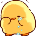a_yc01 a_yc01