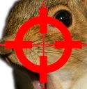 squirrsnipe