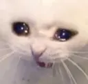 sed sed