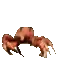crab_rave crab_rave