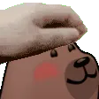 petbear