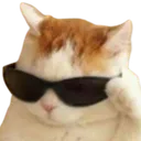 LF_catcoolglasses Discord Emoji