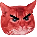 kitten_angry Discord Emoji