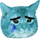 kitten_sad