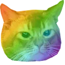 kitten_pride Discord Emoji