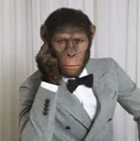 nicemonke