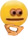 zhdy