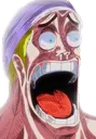 eneruWHAT eneruWHAT