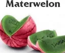 materwelon
