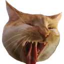 Roar