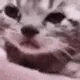 cri