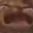gatocry